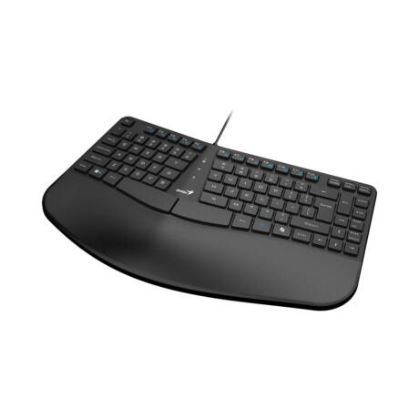 Genius ERGO KEYBOARD-700 (USB) (BLACK)