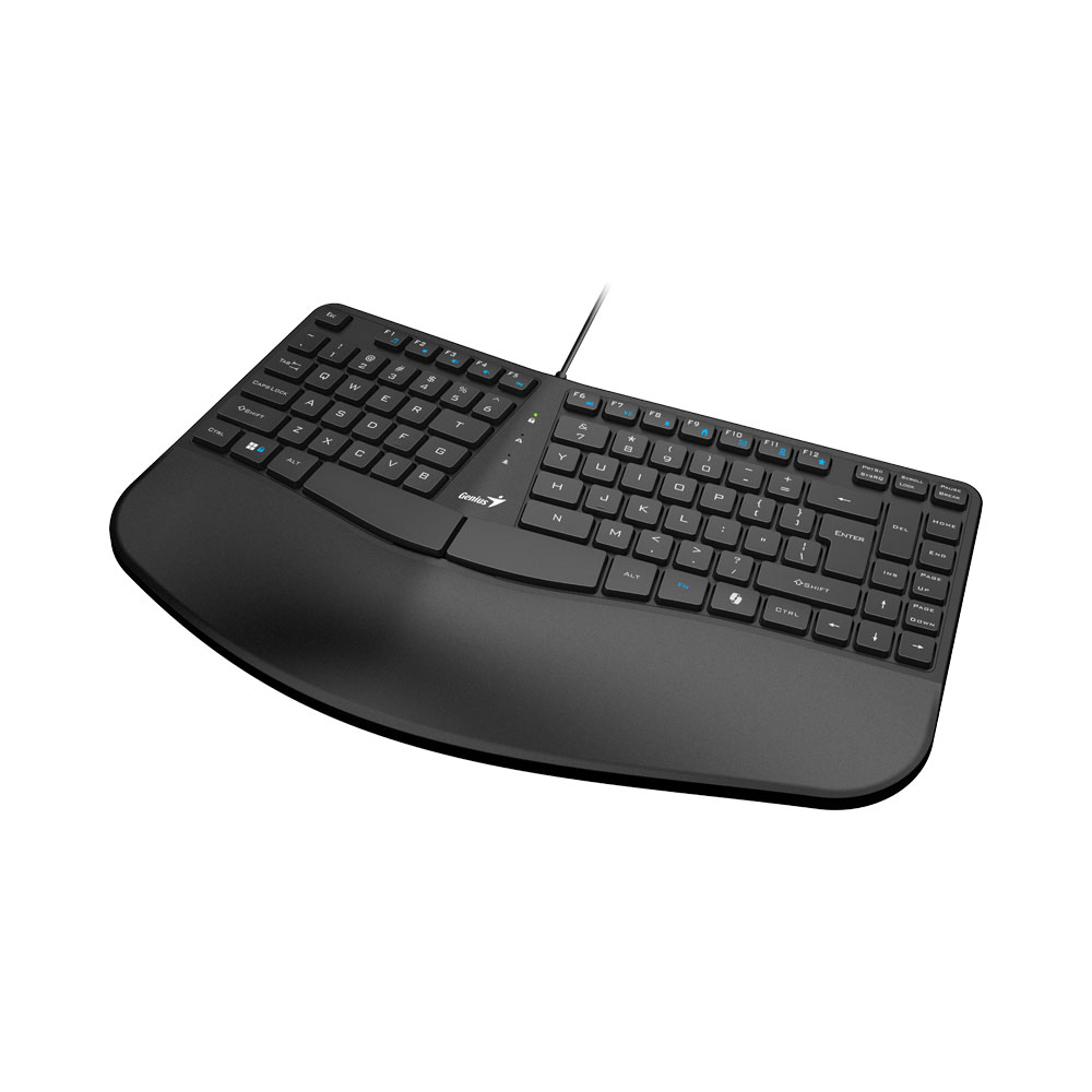 Genius ERGO KEYBOARD-700 (USB) (BLACK)
