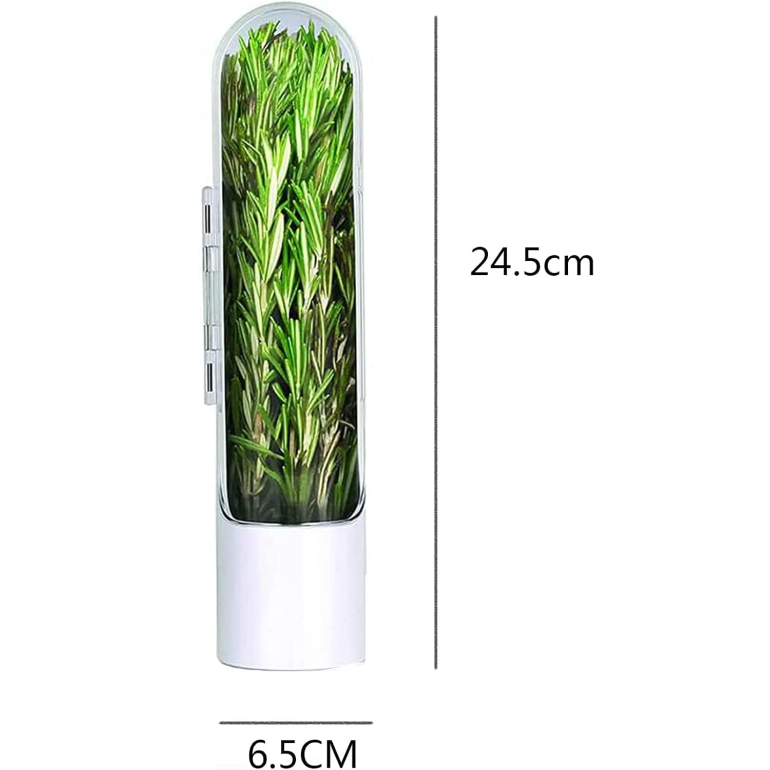 Fresh Herb Saver - Fine Living - Image 8