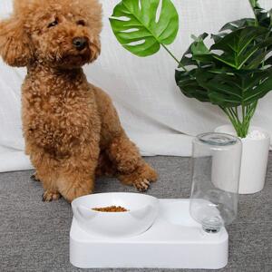 Rex - Pet Feeder