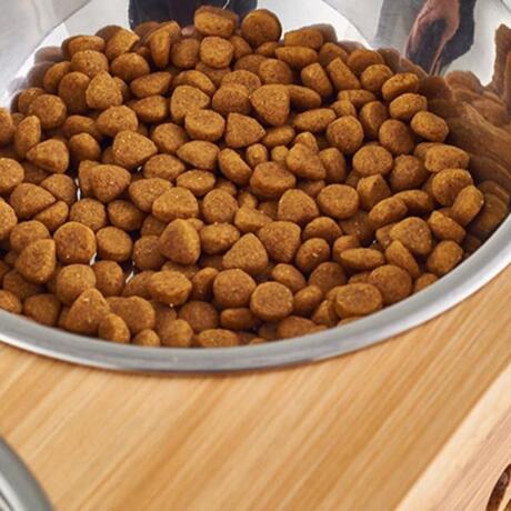 Juno Bamboo Stand Feeding Bowl - Rex