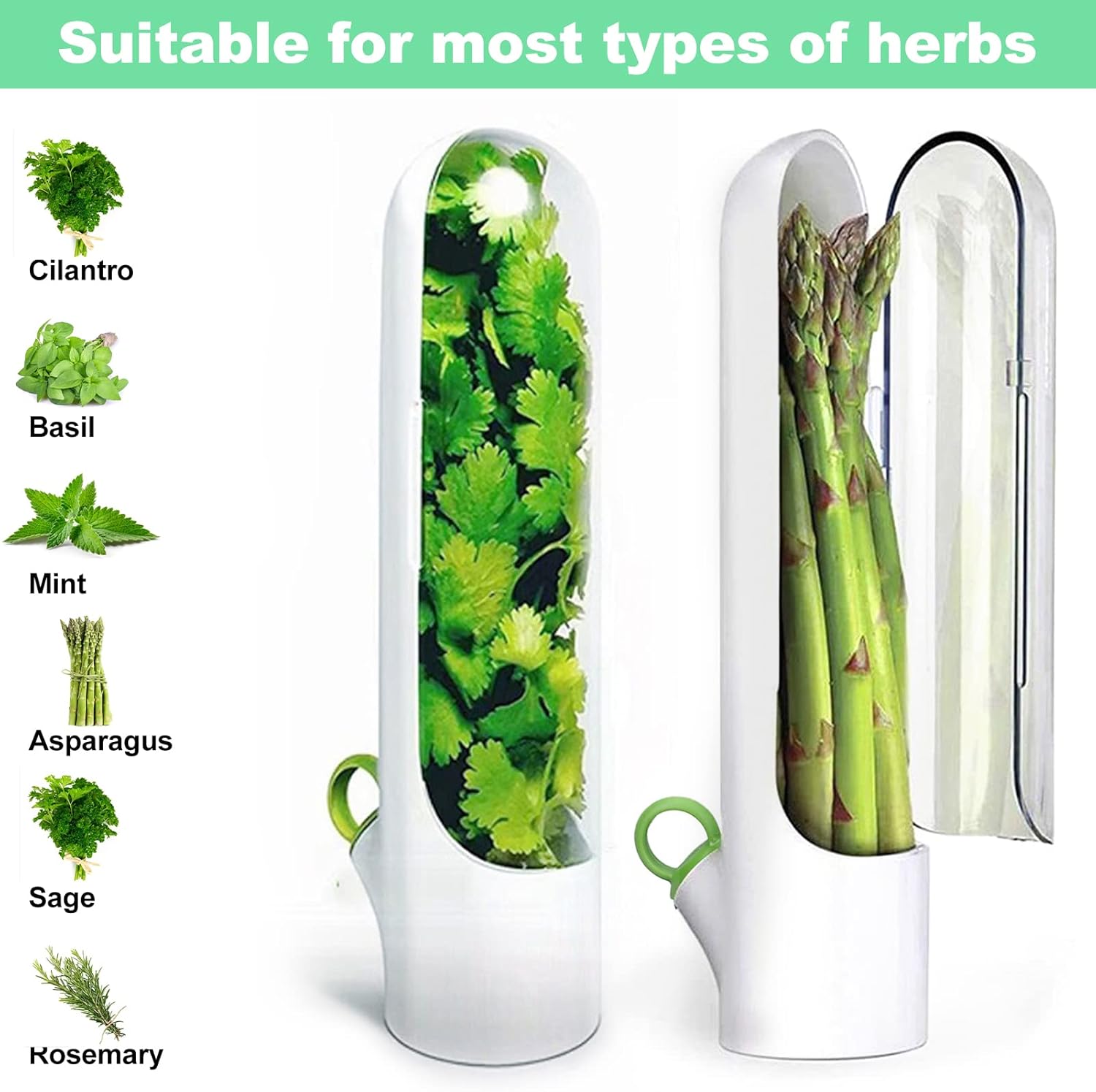 Fresh Herb Saver - Fine Living - Image 3