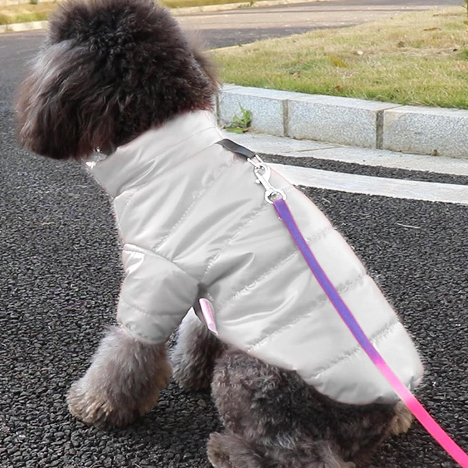 Snoozle Dog Jacket - Small - Grey - Rex - Image 7