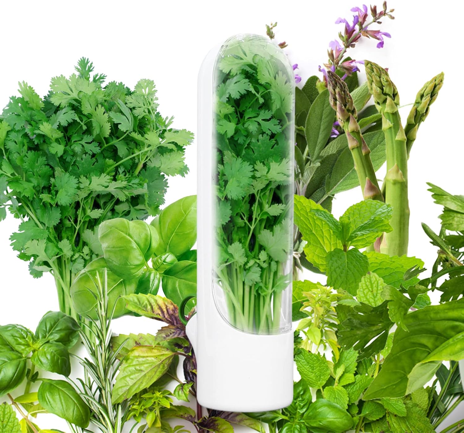 Fresh Herb Saver - Fine Living - Image 5