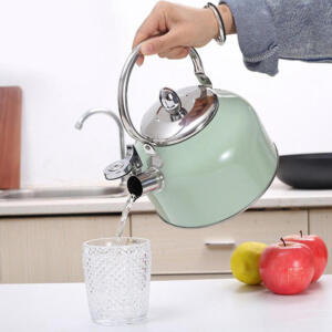 Fine Living Stove Top Kettle 3L - Mint