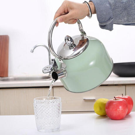Fine Living Stove Top Kettle 3L - Mint