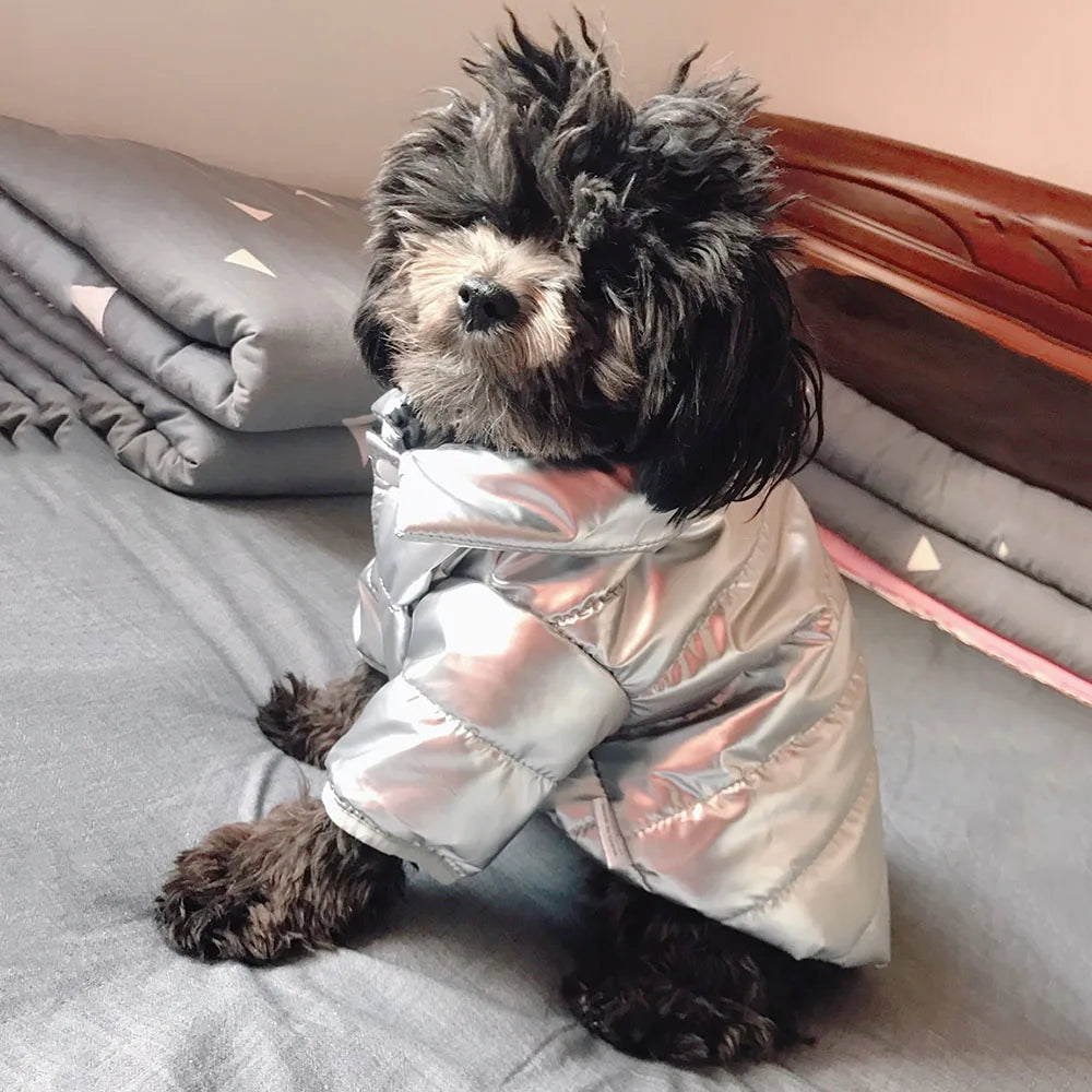 Snoozle Dog Jacket - Small - Grey - Rex