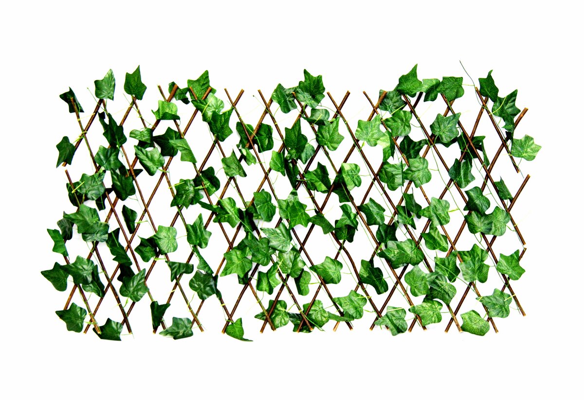 Fine Living - Patio Expandable Trellis - 1.2M - Image 3