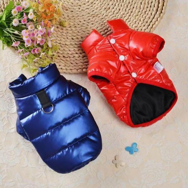 Snoozle Dog Jacket - Small - Blue - Rex - Image 4